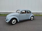 Volkswagen Beetle '53 - Twitter, Autos, Achat, Beige, Entreprise, 2 places