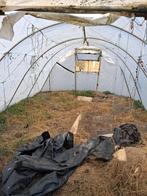 Serre, Tuin en Terras, Ophalen