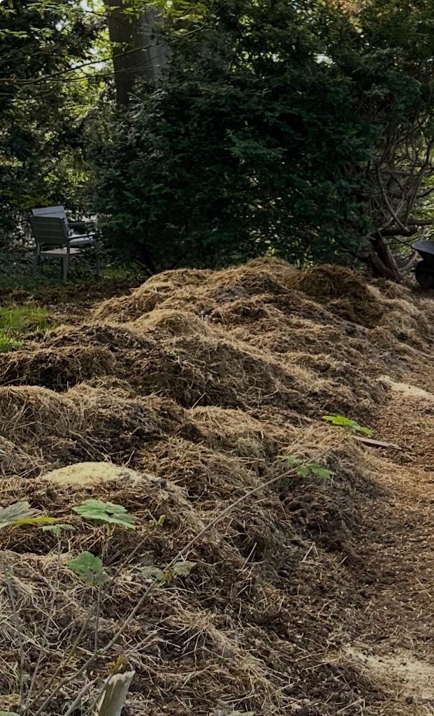 Gratis half gecomposteerde paardenmest, Ophalen, Mest