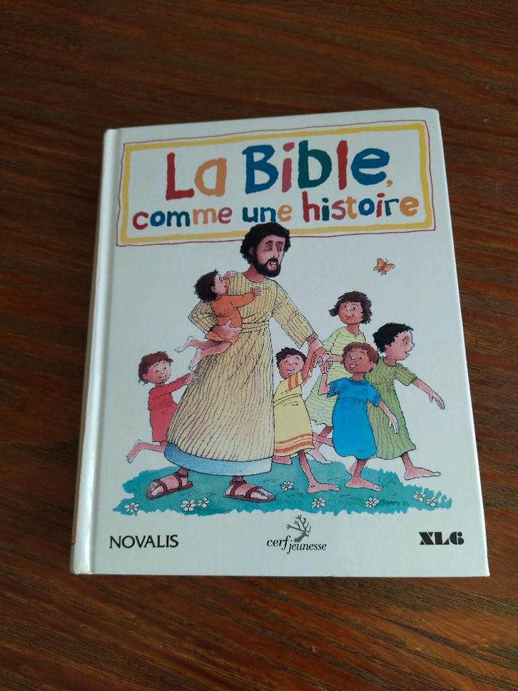 La Bible comme une histoire, Livres, Religion & Théologie, Comme neuf, Christianisme | Catholique, Christianisme | Protestants