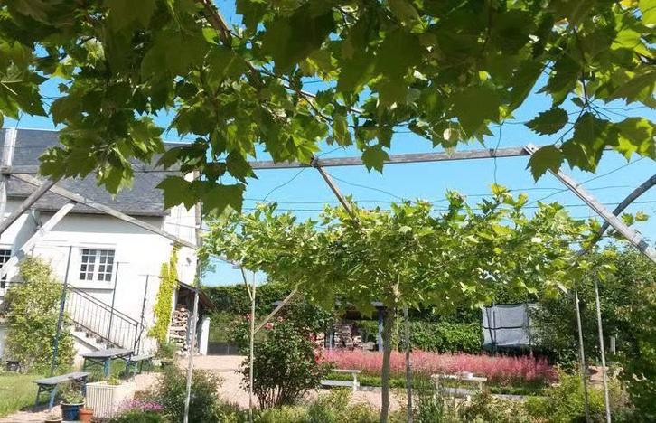 Prachtige ruime woning op 6h van Brussel, Immo, Buitenland, Frankrijk, Woonhuis, Landelijk, Verkoop zonder makelaar