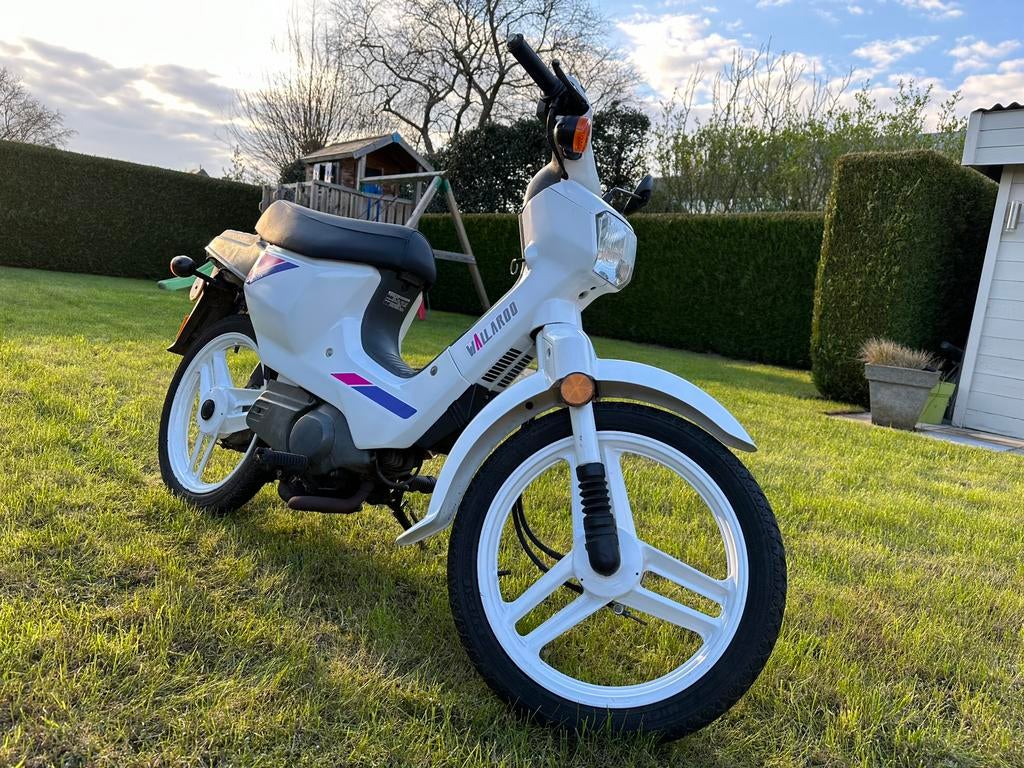 Honda Wallaroo Deluxe en très bon état., Vélos & Vélomoteurs, Cyclomoteurs | Honda, Comme neuf, Enlèvement