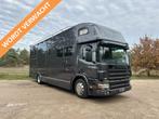 Scania 18T ROELOFSEN 6-paards paardenvrachtwagen LIVING, Autos, Camions, Cuir, Argent ou Gris, Achat, Scania