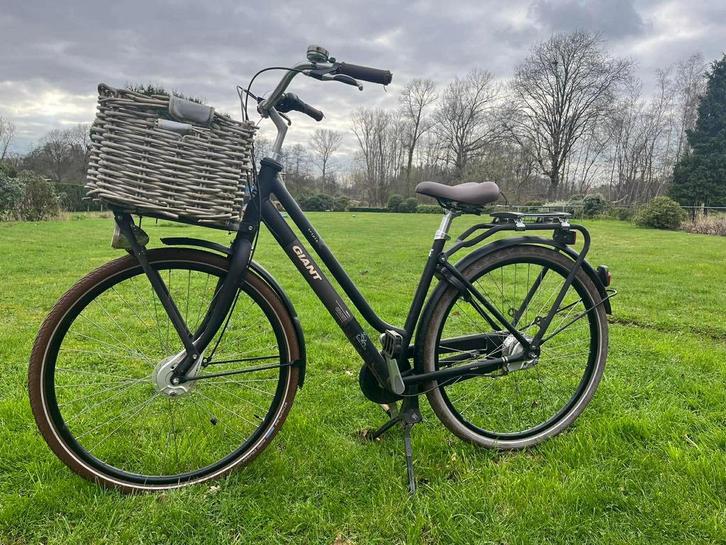 Comfortabele Giant Triple X Damesfiets, Fietsen en Brommers, Fietsen | Dames | Damesfietsen, Giant, Versnellingen, Ophalen