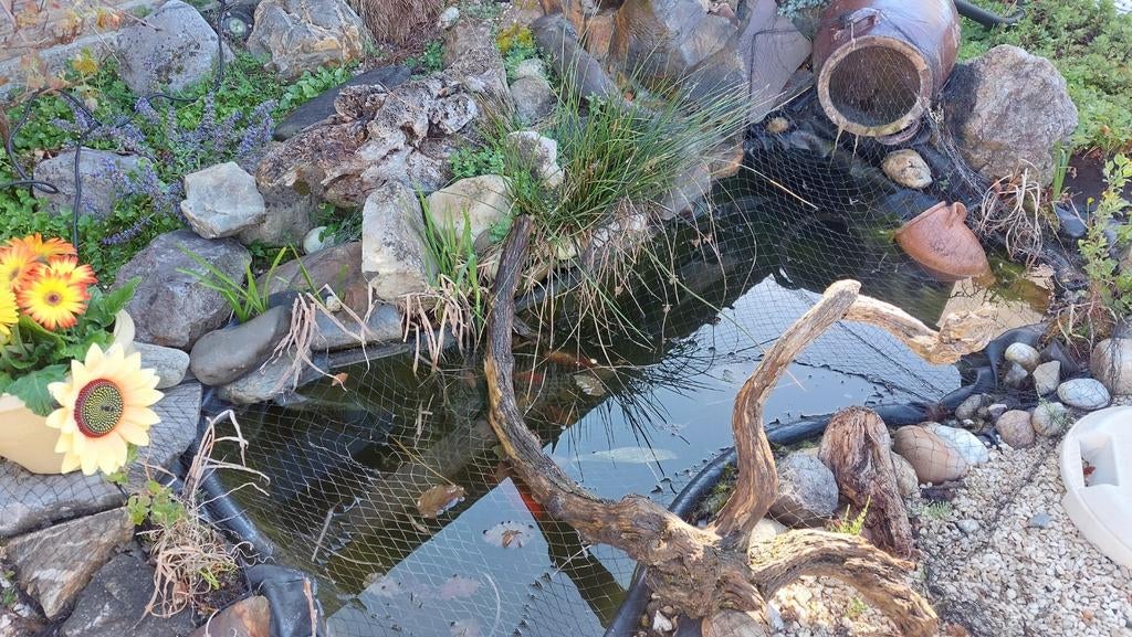 Vijver met toebehoren, Enlèvement