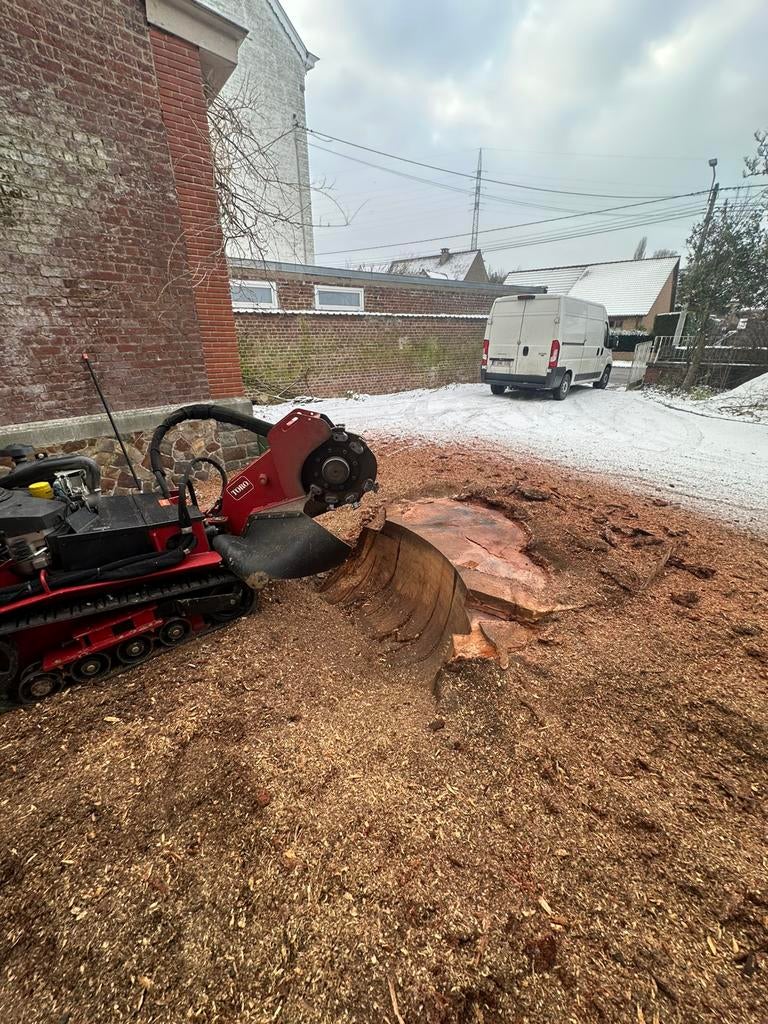 Rognage de souche / Déssouchage, Jardin & Terrasse, Enlèvement, Comme neuf