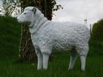Beeld Schaap - 80 cm - Polystone, Ophalen of Verzenden, Kunststof, Dierenbeeld