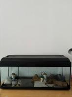 Aquarium 100 L, Dieren en Toebehoren, Zo goed als nieuw, Leeg aquarium