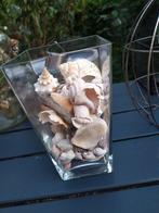 Glazen vaas met schelpen uit Noorwegen., Huis en Inrichting, Woonaccessoires | Vazen, Ophalen of Verzenden