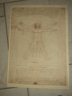 Da Vinci Tekening poster, Antiek en Kunst, Kunst | Litho's en Zeefdrukken, Ophalen of Verzenden
