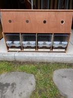 Transport kooi met 4 zangkooien., Dieren en Toebehoren, Vogels | Kanaries