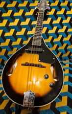 Harley Benton HBME-50E, Muziek en Instrumenten, Snaarinstrumenten | Mandolines, Ophalen, Gebruikt