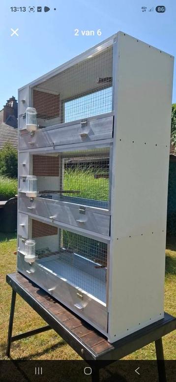 Vogelkooi  beschikbaar voor biedingen