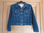 Calvin Klein jeans jas dames maat Small, Blauw, Ophalen of Verzenden, Zo goed als nieuw, Maat 36 (S)