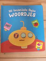 100 flapjes woordjes, Enlèvement