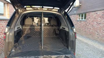 Land Rover Discovery 5 hondenrek Travall beschikbaar voor biedingen