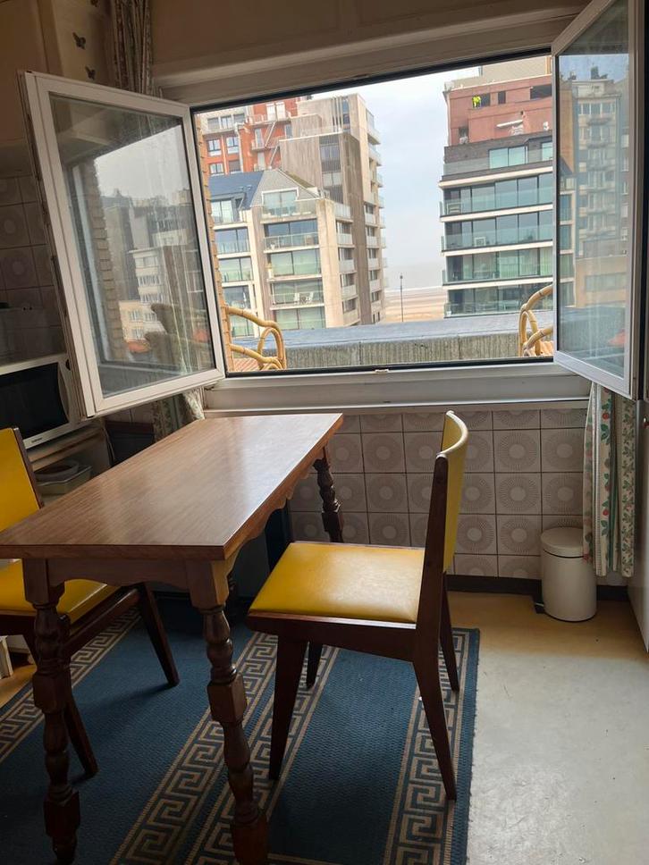 Studio op het dak met gedeeltelijk zeezicht Moet Weg !!, Immo, Appartementen en Studio's te huur