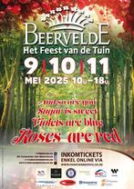 Beervelde, Drie personen of meer