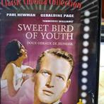 Sweet bird of Youth 1962 dvd als nieuw krasvrij 3eu, Comme neuf, À partir de 6 ans, Enlèvement ou Envoi, Drame