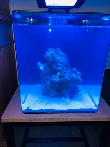 Zeeaquarium Blue marine 60 