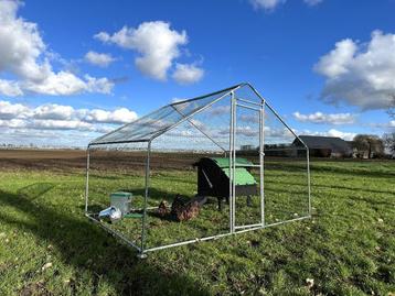 Overdekte kippenren 2 x 3 meter | Showroom beschikbaar voor biedingen