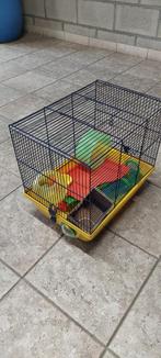 Kooi voor hamster, Dieren en Toebehoren, Ophalen, Gebruikt