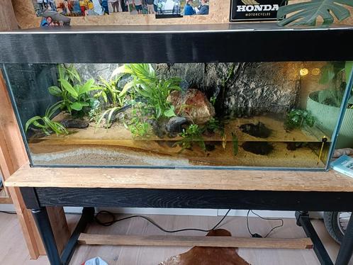 Paludarium / aquarium, Dieren en Toebehoren, Reptielen en Amfibieën | Toebehoren, Zo goed als nieuw, Ophalen of Verzenden