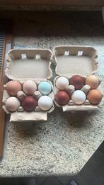 Dagverse kippeneieren te koop - vrije uitloop, Dieren en Toebehoren, Ophalen, Nieuw