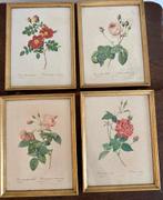 Pierre-Joseph Redouté, set van 4 antieke lithografieën, Antiek en Kunst, Ophalen
