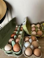 Broedeieren verrassingsmix , gemengde toom, Dieren en Toebehoren, Ophalen of Verzenden