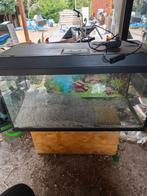 Aquarium Juwel, Ophalen, Gebruikt, Leeg aquarium