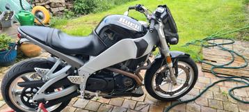 Buell 2003, Motoren, Motoren | Buell, Particulier