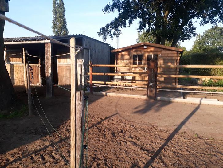 Stal met weide, Dieren en Toebehoren, Stalling en Weidegang, Stalling, Weidegang, 4 paarden of pony's of meer