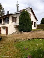 Vastgoedcomplex Commerciële ruimte en woning met 8 kamers, Immo, 219 m², France, Dorp, Overige soorten