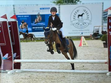 Knappe 12 jarige c spring pony merrie beschikbaar voor biedingen