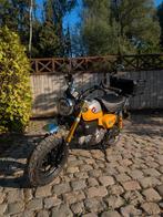 Honda Monkey 125cc, Entreprise, 125 cm³, Autre, 1 cylindre