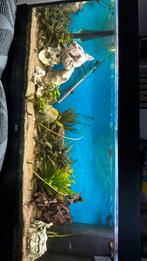 240liter Juwel aquarium volledige set!, Dieren en Toebehoren, Ophalen, Zo goed als nieuw, Terrarium of Paludarium