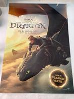 HOW TO TRAIN YOUR DRAGON  filmposter   70-100 cm, Ophalen of Verzenden