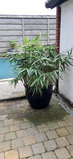 Pot en bambou émaillé bleu, Jardin & Terrasse, Enlèvement ou Envoi