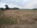 landbouwgrond seizoenspacht, Zakelijke goederen, Ophalen of Verzenden, 5 tot 20 ha, Akkerbouwbedrijf