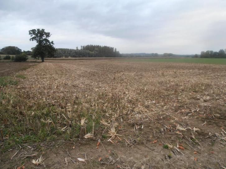 landbouwgrond seizoenspacht, Zakelijke goederen, Landbouw | Onroerend goed, Akkerbouwbedrijf, 5 tot 20 ha, Ophalen of Verzenden