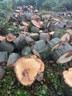 Amerikaans eik, 6 m³ ou plus, Enlèvement, Chêne, Bûches