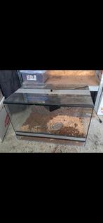 Terrarium, Dieren en Toebehoren, Ophalen, Zo goed als nieuw