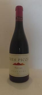 TRES PICOS GARNACHA BODEGAS BORSAO 2011, Verzamelen, Wijnen, Spanje, Nieuw, Ophalen of Verzenden, Rode wijn