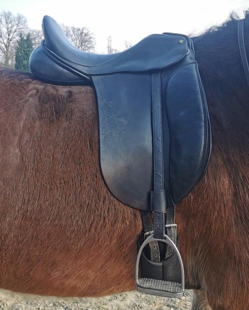 Dressuurzadel Ainsley Vanguard Popular, Dieren en Toebehoren, Paarden en Pony's | Zadels, Gebruikt, Dressuur, Ophalen of Verzenden