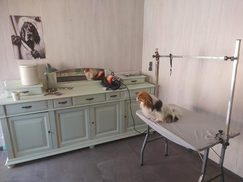 Te huur Trimkamer - trimsalon, Dieren en Toebehoren, Honden-accessoires, Ophalen