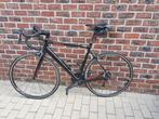Canyon Endurace CF 8.0, Ophalen, Gebruikt