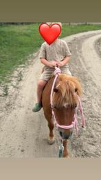 Super lief shetlander ruintje, Dieren en Toebehoren, Pony's, Gechipt, Ruin, Zadelmak, A pony (tot 1.17m)