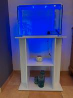 Superfish Aquarium + Superfish meubel., Dieren en Toebehoren, Ophalen, Gebruikt, Leeg aquarium