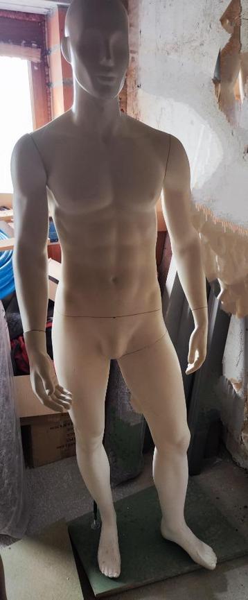 Mannequin voor mannen  beschikbaar voor biedingen